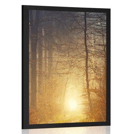 POSTER LICHT IM WALD - NATUR - POSTER