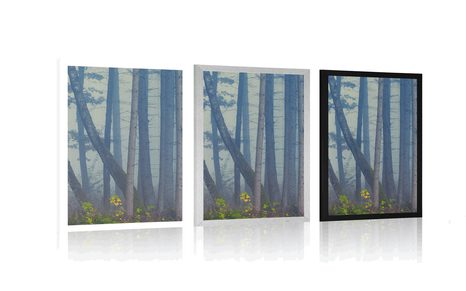 PLAKAT SKRIVNOSTI GOZD - NARAVA - PLAKATI