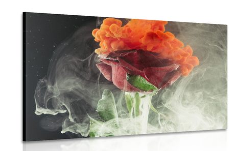 CANVAS PRINT ROSE WITH ABSTRACT ELEMENTS