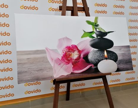 OBRAZ HARMONICKÉ ZEN ZÁTIŠÍ - OBRAZY FENG SHUI - OBRAZY