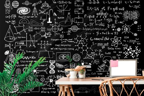 TAPÉTA TUDOMÁNYOS TÁBLA - FEKETE-FEHÉR TAPÉTÁK - TAPÉTÁK