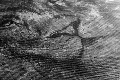 SLIKA LEVJA GLAVA V ČRNOBELI IZVEDBI - ČRNOBELE SLIKE - SLIKE