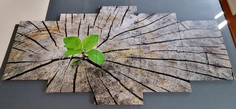 TABLOU 5-PIESE NAȘTERIE UNEI NOI VIEȚI - TABLOURI CU COLȚURI DE LINIȘTITE - TABLOURI