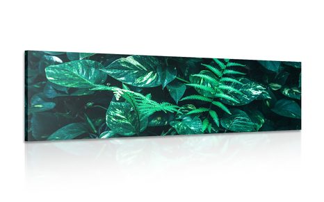 CANVAS PRINT FRESH TROPICAL LEAVES - PICTURES OF NATURE AND LANDSCAPE - PICTURES