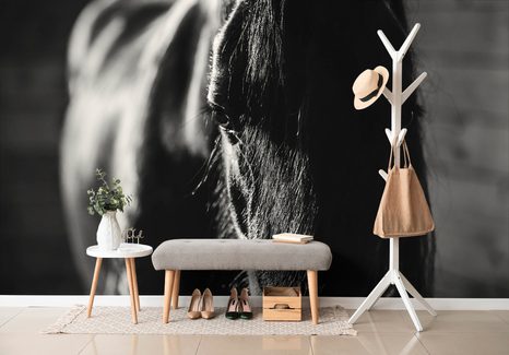 CARTA DA PARATI – CAVALLO MAESTOSO IN BIANCO E NERO - CARTA DA PARATI BIANCO E NERO - CARTA DA PARATI