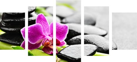 5-DIELNY OBRAZ WELLNESS ZÁTIŠIE S FIALOVOU ORCHIDEOU - OBRAZY FENG SHUI - OBRAZY