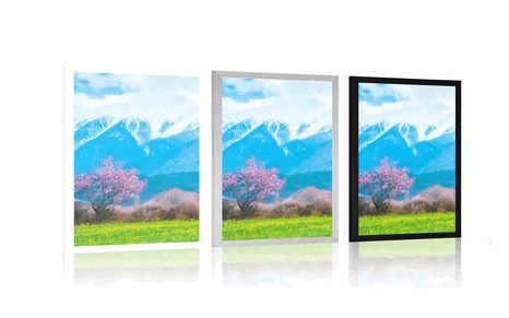 PLAKÁT KOUZELNÝ STROM UPROSTŘED HOR - PŘÍRODA - PLAKÁTY