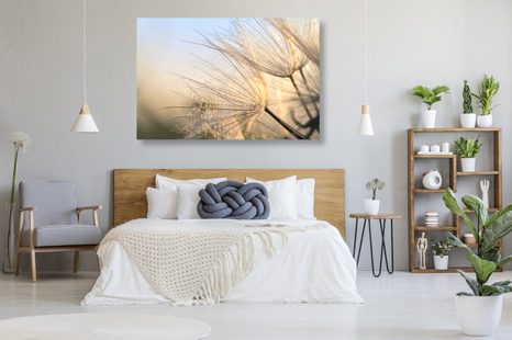 ΕΙΚΌΝΑ ΜΙΑΣ ΠΙΚΡΑΛΊΔΑΣ ΣΕ ΈΝΑ ΧΩΡΆΦΙ ΤΗΝ ΑΝΑΤΟΛΉ ΤΟΥ ΗΛΊΟΥ - ΠΊΝΑΚΕΣ ΑΠΌ ΛΟΥΛΟΎΔΙΑ - ΠΊΝΑΚΕΣ