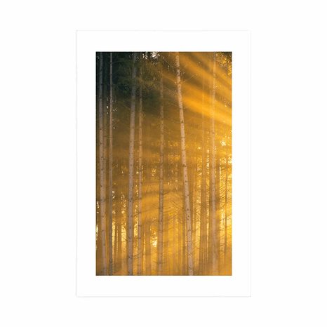 PLAKAT S PASPARTUOM SUNCE IZA STABALA - PRIRODA - PLAKATI