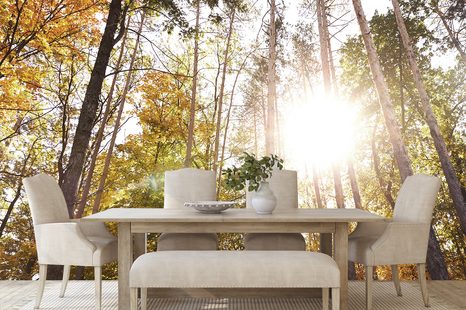 CARTA DA PARATI – FORESTA NEI COLORI AUTUNNALI - CARTA DA PARATI NATURA - CARTA DA PARATI