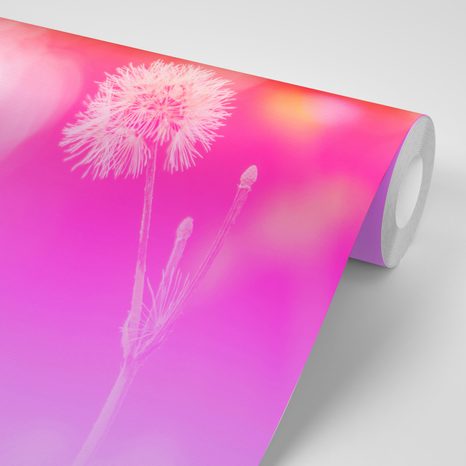 SAMOLEPIACA TAPETA PÚPAVA NA RUŽOVOM POZADÍ - SAMOLEPIACE TAPETY - TAPETY