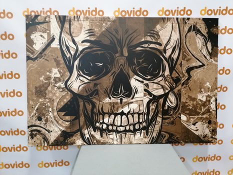 KÉP KOPONYA SZÉPIA KIVITELBEN - FEKETE-FEHÉR KÉPEK - KÉPEK