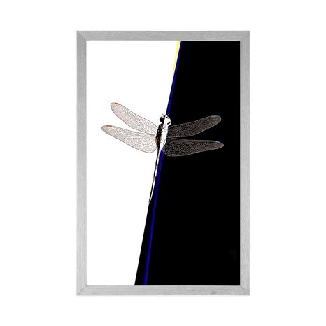 POSTER SYMMETRIE DER LIBELLE - MOTIVE AUS UNSERER WERKSTATT - POSTER