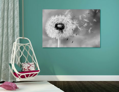 WANDBILD BEZAUBERNDER LÖWENZAHN IN SCHWARZ-WEISS - SCHWARZ-WEISSE BILDER - BILDER