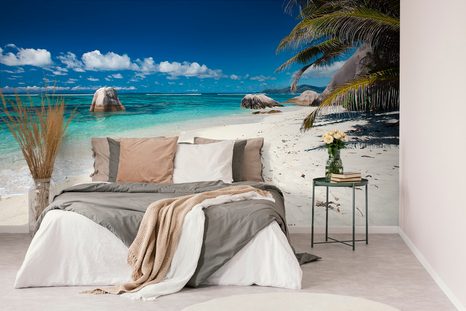 CARTA DA PARATI – SPIAGGIA ANSE SOURCE - CARTA DA PARATI NATURA - CARTA DA PARATI