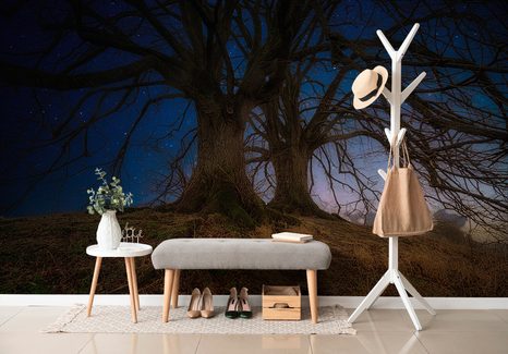 TAPETE BÄUME IN DER NACHT - TAPETEN MIT NATURMOTIVEN - TAPETEN