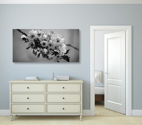 WANDBILD BLÜHENDER KIRSCHBLÜTENZWEIG IN SCHWARZ-WEISS - SCHWARZ-WEISSE BILDER - BILDER