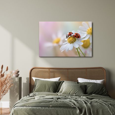 OBRAZ BERUŠKY NA KVĚTINĚ - OBRAZY ZVÍŘAT - OBRAZY