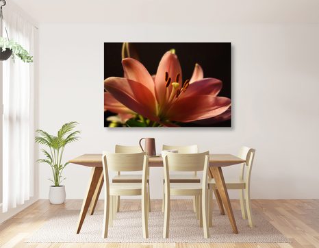 ΕΙΚΌΝΑ ΕΝΌΣ ΌΜΟΡΦΟΥ ΡΟΖ ΚΡΊΝΟΥ ΣΕ ΜΑΎΡΟ ΦΌΝΤΟ - ΠΊΝΑΚΕΣ ΑΠΌ ΛΟΥΛΟΎΔΙΑ - ΠΊΝΑΚΕΣ