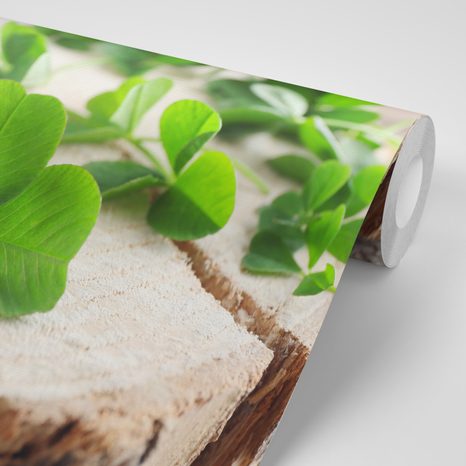 FOTOTAPETA ZELENÉ ČTYŘLÍSTKY - TAPETY PŘÍRODA - TAPETY