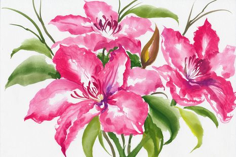 CARTA DA PARATI – FIORI SPLENDIDI - CARTA DA PARATI CON FIORI - CARTA DA PARATI