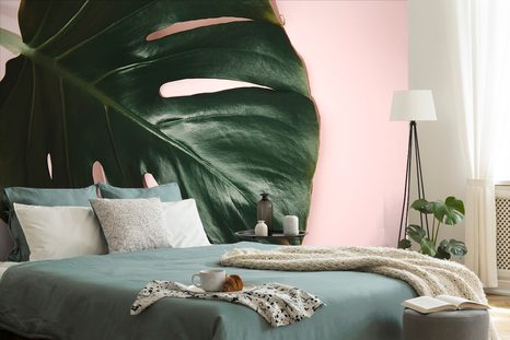 FOTOTAPETA LIST MONSTERY - TAPETY PŘÍRODA - TAPETY