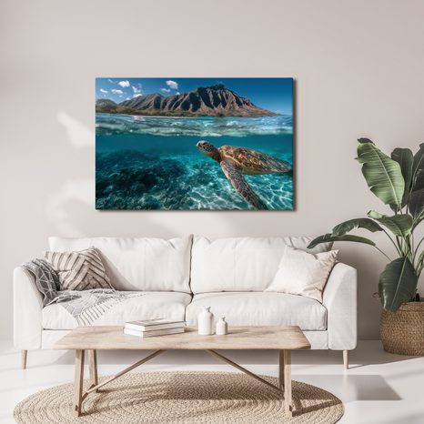 WANDBILD MEERESSCHILDKRÖTE IM OZEAN - WANDBILDER MEERESTIERE - BILDER