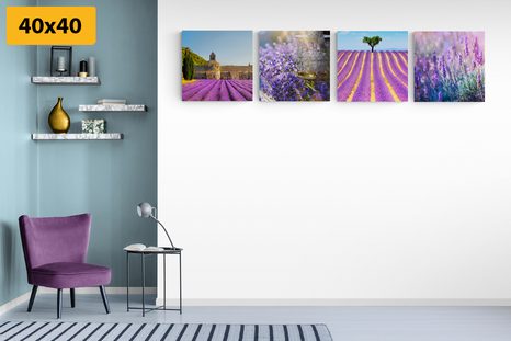 BILDER-SET LAVENDEL-REICHTUM - BILDERSETS - BILDER