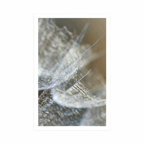 AFFICHE – MACRO PISSENLIT SUR FOND - FLEURS - AFFICHES