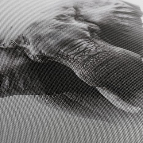 OBRAZ SLONÍ SÍLA A KLID - OBRAZY SLONI - OBRAZY