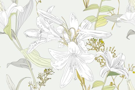 SAMOLEPÍCÍ TAPETA KRESLENÁ LILIE - SAMOLEPÍCÍ TAPETY - TAPETY