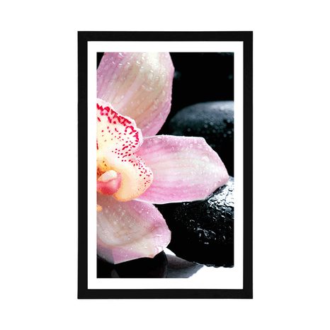 PLAGÁT S PASPARTOU EXOTICKÁ ORCHIDEA - FENG SHUI - PLAGÁTY