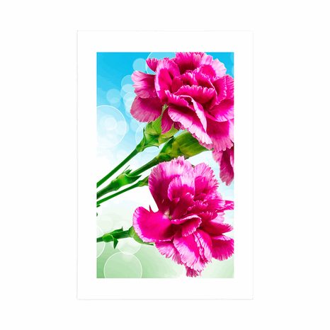 AFFICHE – FLEUR D'ŒILLET - FLEURS - AFFICHES