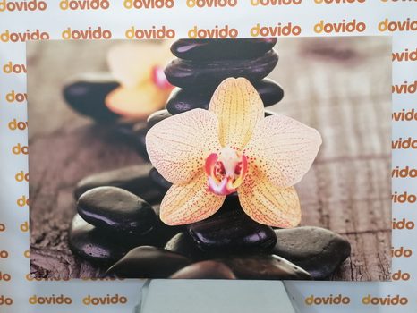WANDBILD GELBE ORCHIDEE UND ZEN-STEINE - BILDER MIT FENG SHUI-MOTIVEN - BILDER