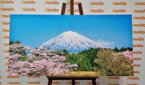 WANDBILD BERG FUJI - BILDER VON NATUR UND LANDSCHAFT - BILDER