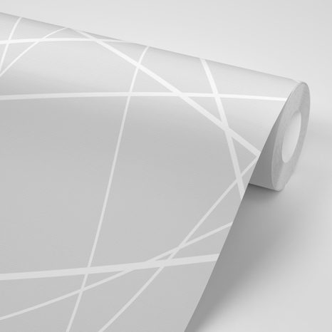 SELBSTKLEBENDE TAPETE MODERNES SPINNENNETZ - SELBSTKLEBENDE TAPETEN - TAPETEN