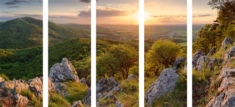 5-TEILIGES WANDBILD IN SONNENLICHT GETAUCHTE NATUR - BILDER VON NATUR UND LANDSCHAFT - BILDER