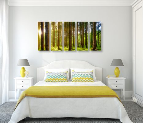 5-RÉSZES REGGEL AZ ERDŐBEN - TERMÉSZET- ÉS TÁJKÉPEK - KÉPEK