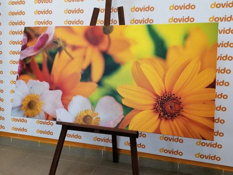 ΕΙΚΌΝΑ ΚΑΛΟΚΑΙΡΙΝΉ ΑΝΘΟΔΈΣΜΗ - ΠΊΝΑΚΕΣ ΑΠΌ ΛΟΥΛΟΎΔΙΑ - ΠΊΝΑΚΕΣ