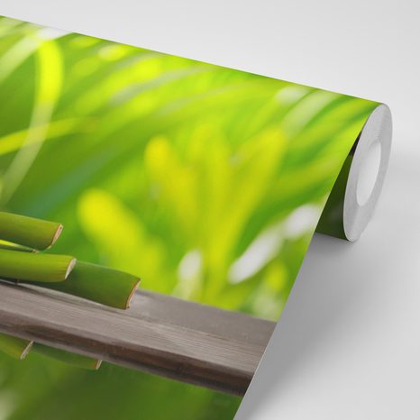 FOTOTAPETA HARMONICKÝ BUDHA - TAPETY FENG SHUI - TAPETY