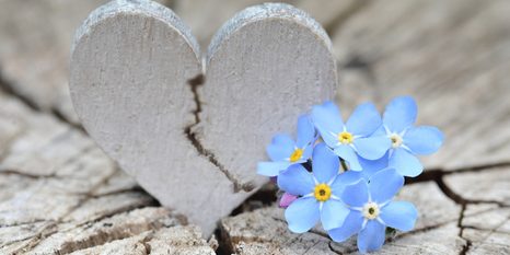 STAMPA SU TELA – CUORICINO SUL LEGNO ANTICO - QUADRI DI NATURE MORTE - STAMPE E QUADRI