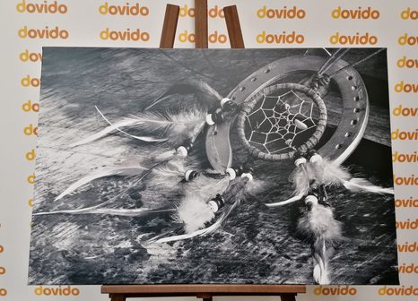 КАРТИНА НА ПЛАТНО – ЛОВЕЦ НА СЪНИЩА В ЧЕРНО-БЯЛ ВАРИАНТ - ЧЕРНО-БЕЛИ КАРТИНИ - КАРТИНИ