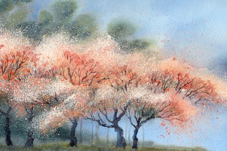 STAMPA SU TELA – ALBERI IN FIORE IN ACQUERELLO - QUADRI DI NATURA E PAESAGGIO - STAMPE E QUADRI