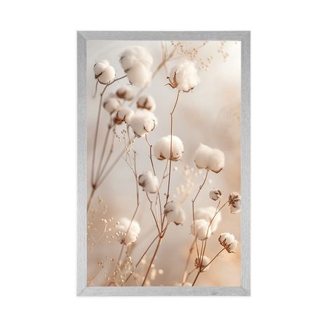 PLAKÁT NADÝCHANÁ BAVLNA - BOTANICKÉ - PLAKÁTY