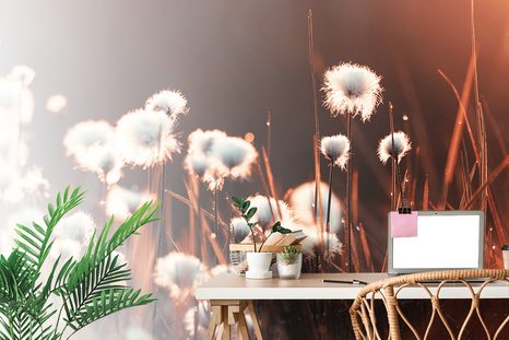 SELF ADHESIVE WALL MURAL COTTON GRASS - SELF-ADHESIVE WALLPAPERS - WALLPAPERS