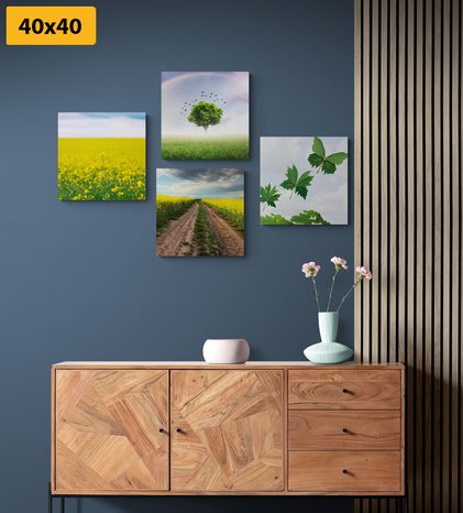 BILDER-SET SCHILLERNDE NATUR - BILDERSETS - BILDER