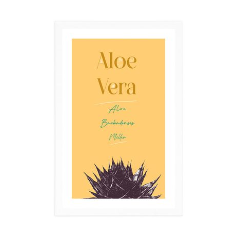 PLAGÁT S PASPARTOU A ŠTÝLOVÝM NÁPISOM ALOE VERA - MOTÍVY Z NAŠEJ DIELNE - PLAGÁTY