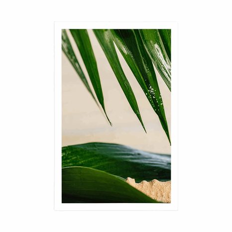 POSTER – NATURA MORTA SULLA SPIAGGIA - ANCORA VITA - POSTER