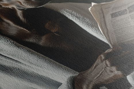 OBRAZ PES S NOVINAMI NA ZÁCHODE - OBRAZY PSY - OBRAZY