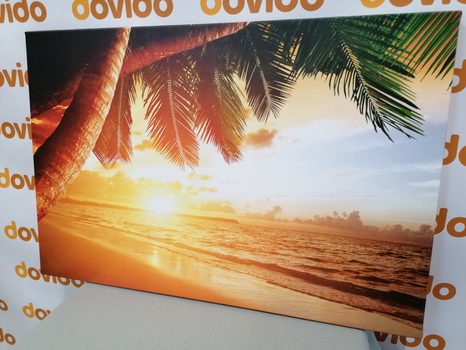 КАРТИНА НА ПЛАТНО – ИЗГРЕВ НА КАРИБСКИЯ ПЛАЖ - КАРТИНИ НА ПРИРОДАТА И ПЕЙЗАЖИ - КАРТИНИ